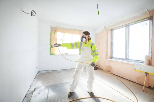 Best Ceiling Drywall Installation  in Benld, IL