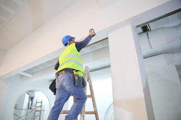 Best Fire-Damaged Drywall Repair  in Benld, IL